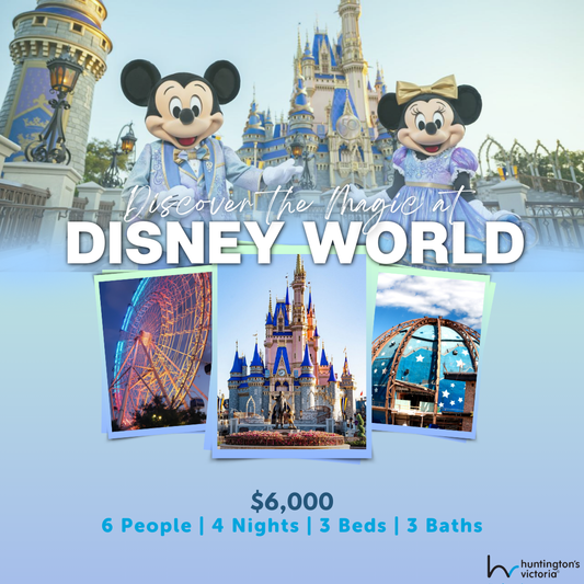 Disney World Holiday Package